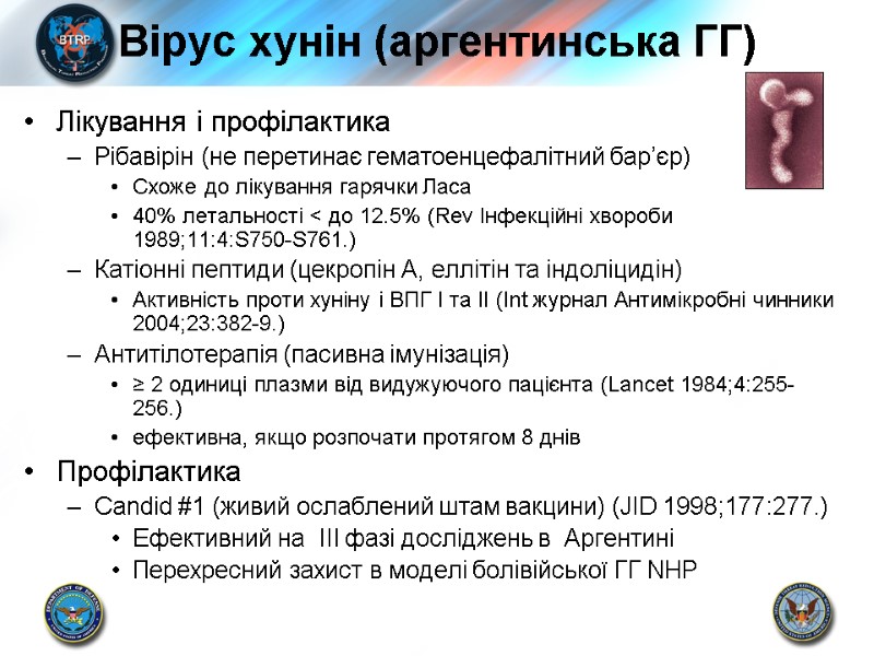 Вірус хунін (аргентинська ГГ) Лікування і профілактика Рібавірін (не перетинає гематоенцефалітний бар’єр) Схоже до